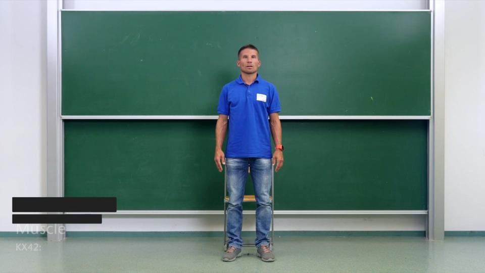 Preview image for the video "Ellbogenzug".