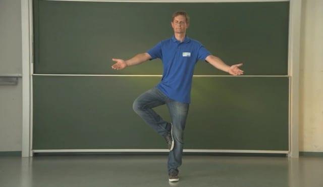 Preview image for the video "Ruhender Flamingo".