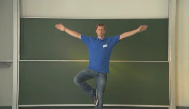 Preview image for the video "Spielender Flamingo".